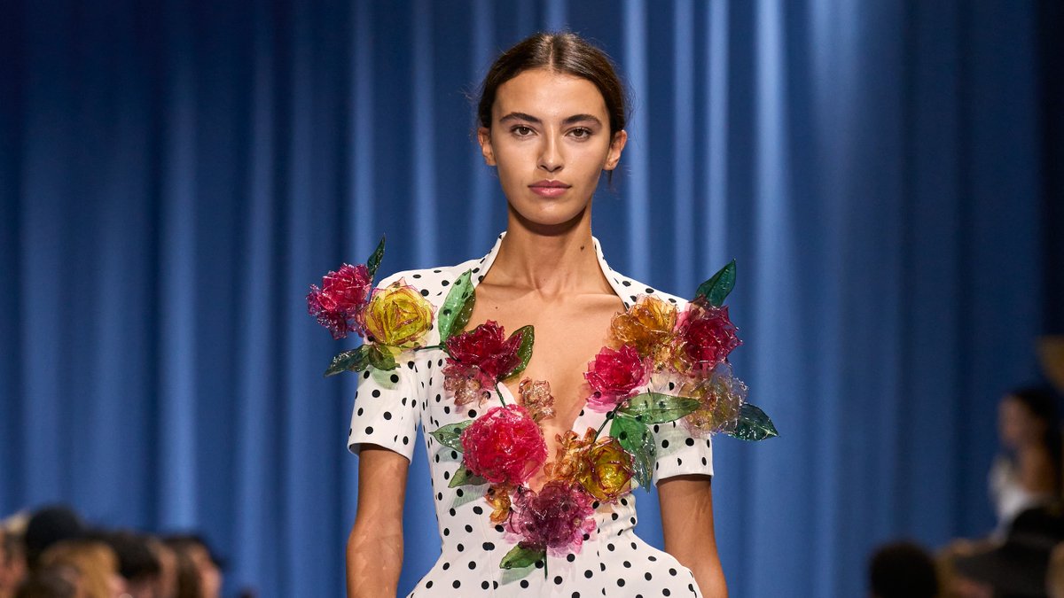 THE FALL tweet media