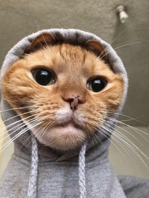 s7:silver IV after placements
s8:silver II
s9:Gold II
s10:Plat III
s11:Diam II
s12:Diam I EUW
s13 split1: Master both servers
s13 split2: master eune, euw not played yet