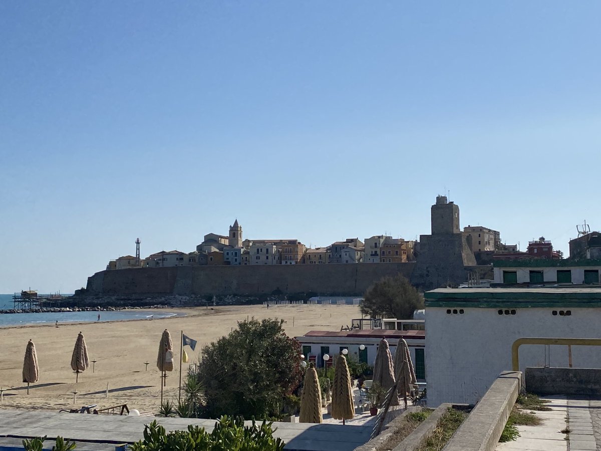 Giorgio Tassi tweet media