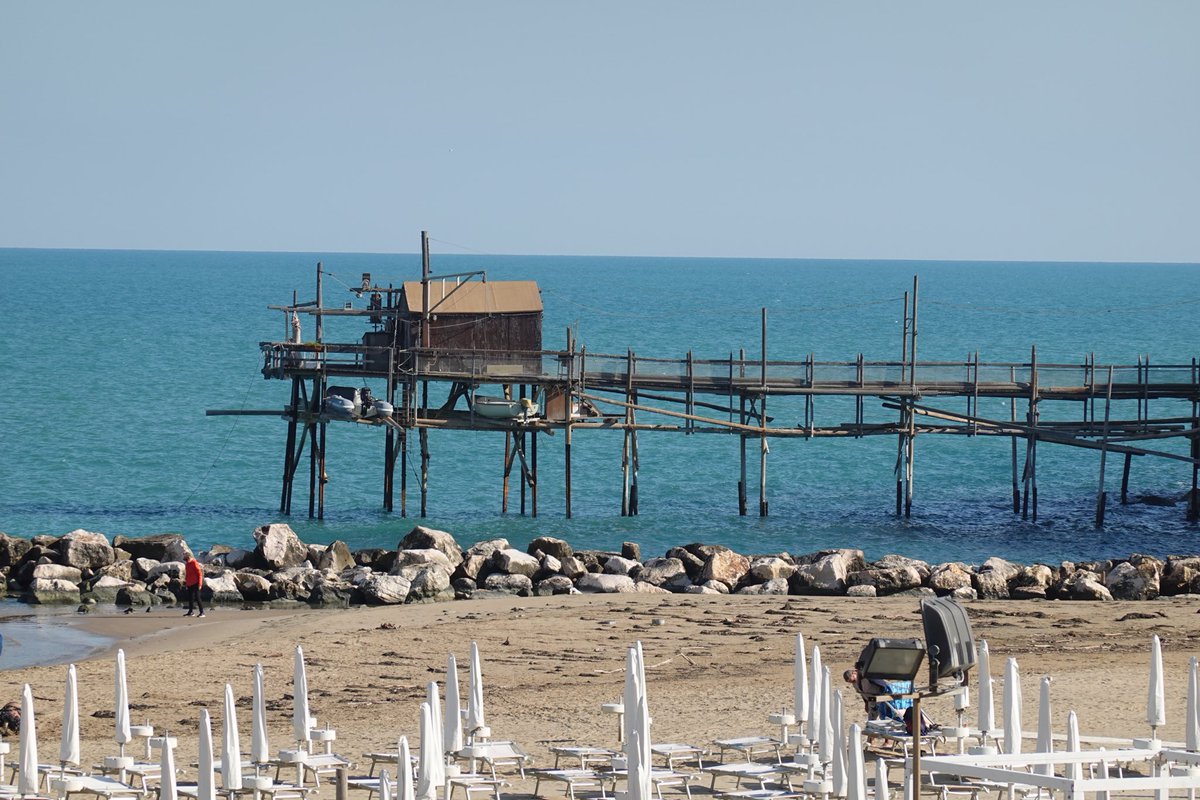 Giorgio Tassi tweet media