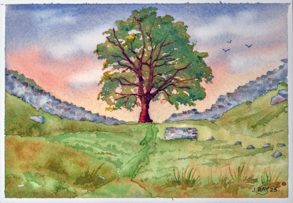 SeaStackJohn's tweet image. A n original watercolour painting of Sycamore Gap, Northumberland.