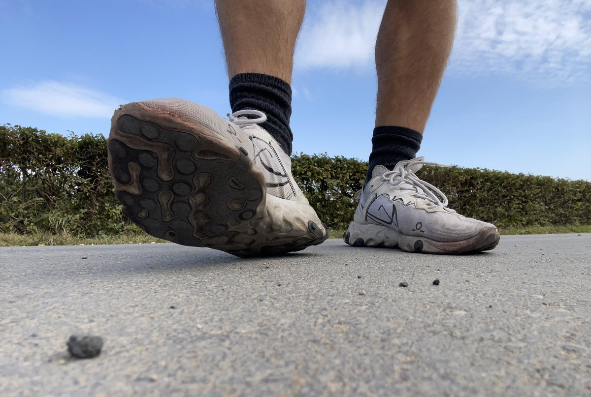 🇩🇪 Nur 2 Arten von Lebewesen lieben diese Aussicht!

Weißt du welche es sind?

🇬🇧 There are only 2 types of living beings that love this view!

Do you know which ones they are?