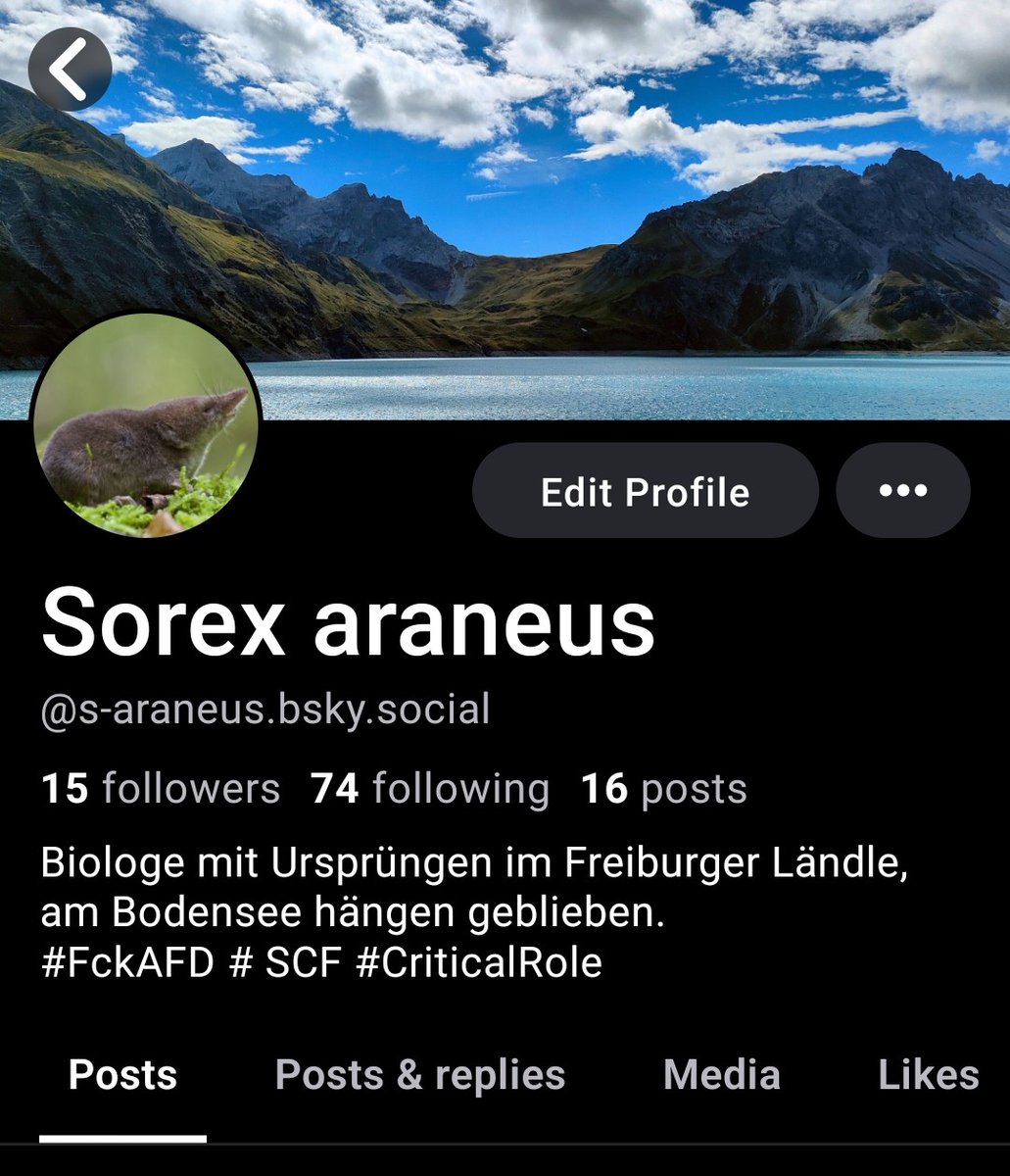 Sorex araneus tweet media