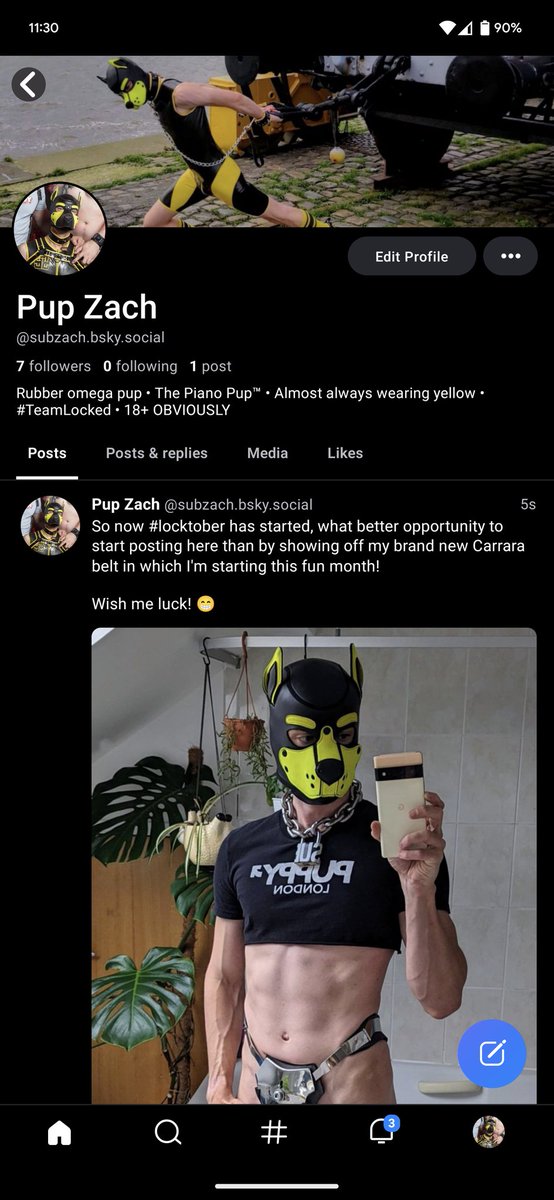 Pup Zach tweet media