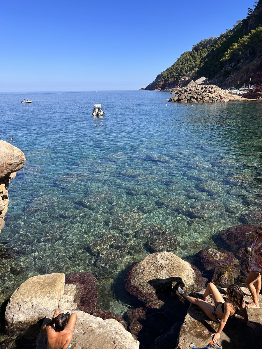 d_defensa's tweet image. Barca de nom "sol de ponent III" de mallorquins, incomplint normativa que diu que a 200 metros de cala o platja de banyistes i 50 metres reste litoral. #estellencs #posidonia #serratramuntana #vergonya #barruts