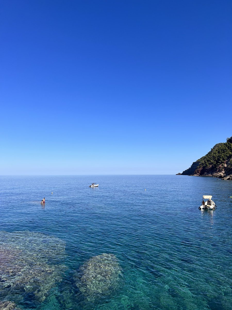 d_defensa's tweet image. Barca de nom "sol de ponent III" de mallorquins, incomplint normativa que diu que a 200 metros de cala o platja de banyistes i 50 metres reste litoral. #estellencs #posidonia #serratramuntana #vergonya #barruts