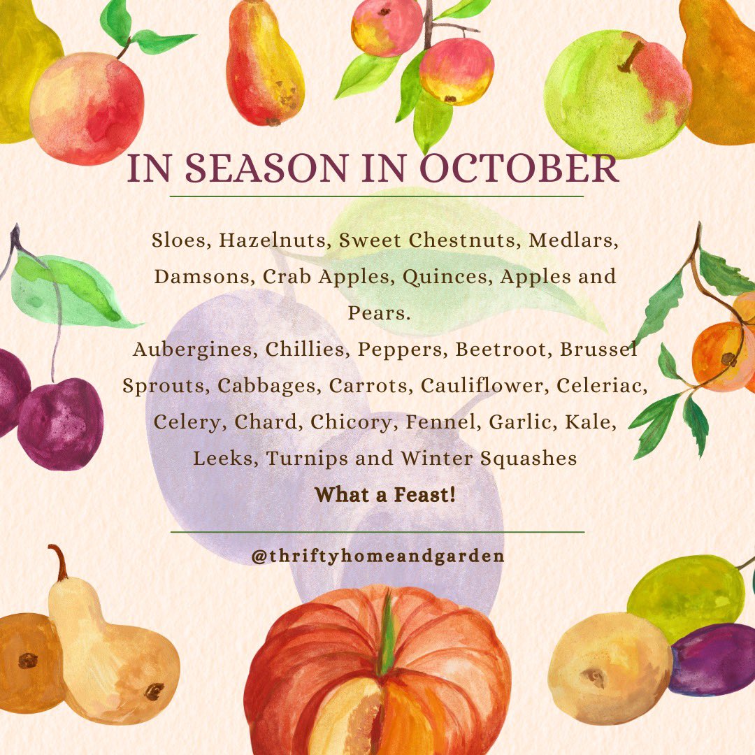 The October Feast!

#october #seasonalproduce