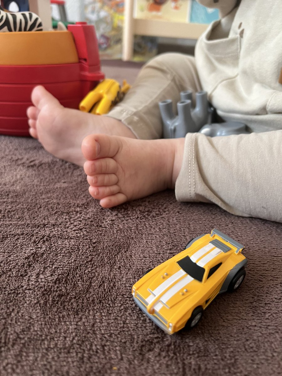 My son will be a Dominus main…