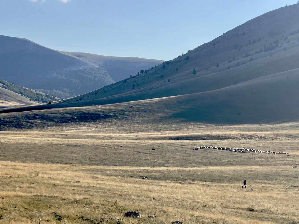 edelweiss_bjela's tweet photo. Autumn is so in love with sunsets that she paints one at every step
🍂☀️
#nature #naturephotography #naturelovers #autumn #autumnvibes🍁 #autumn🍁 #autumnvibes #natur #jesen #jesień #bjelasnica #mountain #planina #hiking #hikingadventures #turizambih #bosnia #bosniaandherzegovina https://t.co/RWUPmmej5w