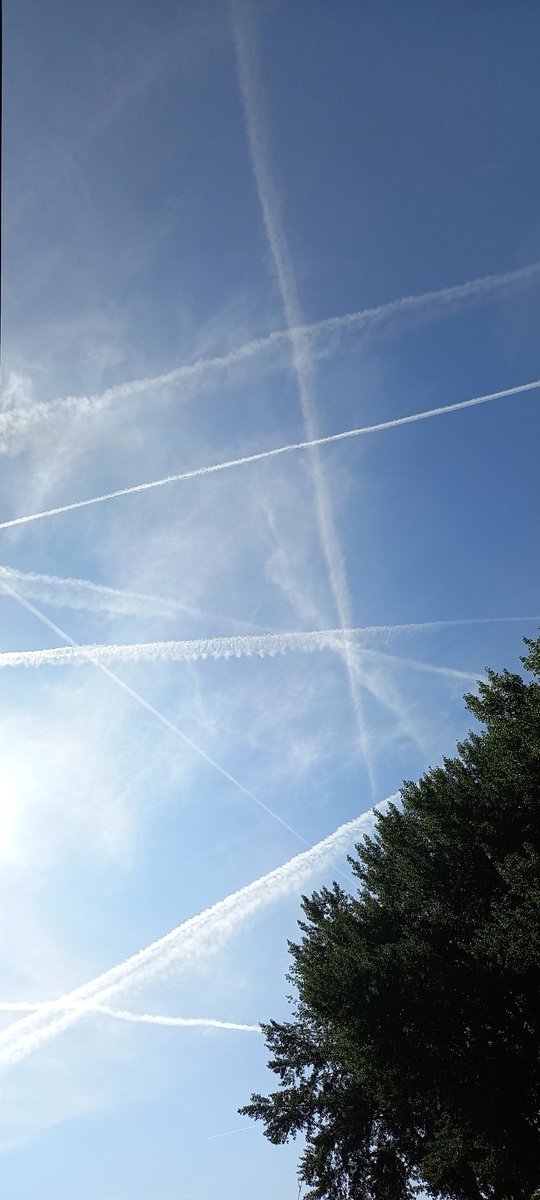Em53363098's tweet image. #chemtrails
🌹
Don't look up...
Niets te zien mensen, gewoon doorlopen.
1oktober 2023
Hoorn 12:50 uur
