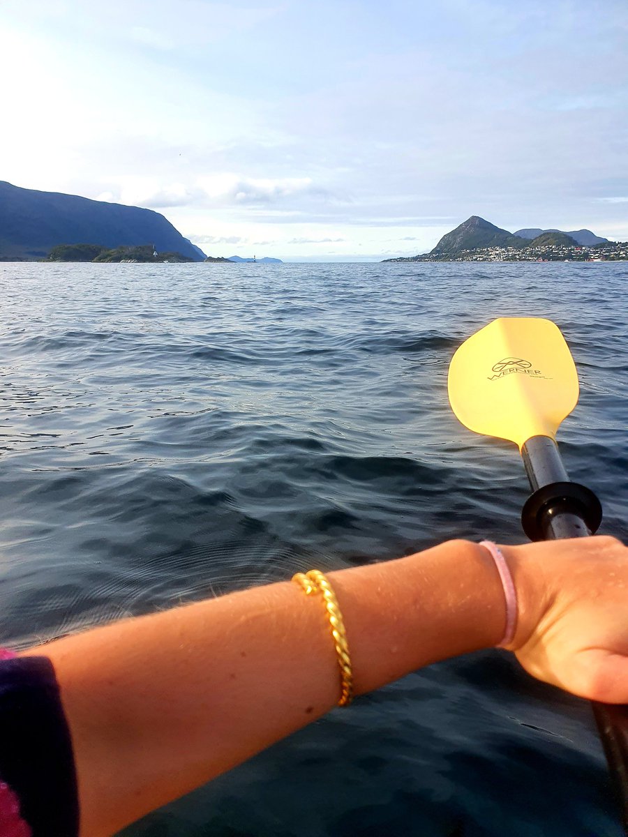 a_no_malie's tweet image. People will literally pay out-of-pocket storage fees for months and years on end instead of watching this all day.