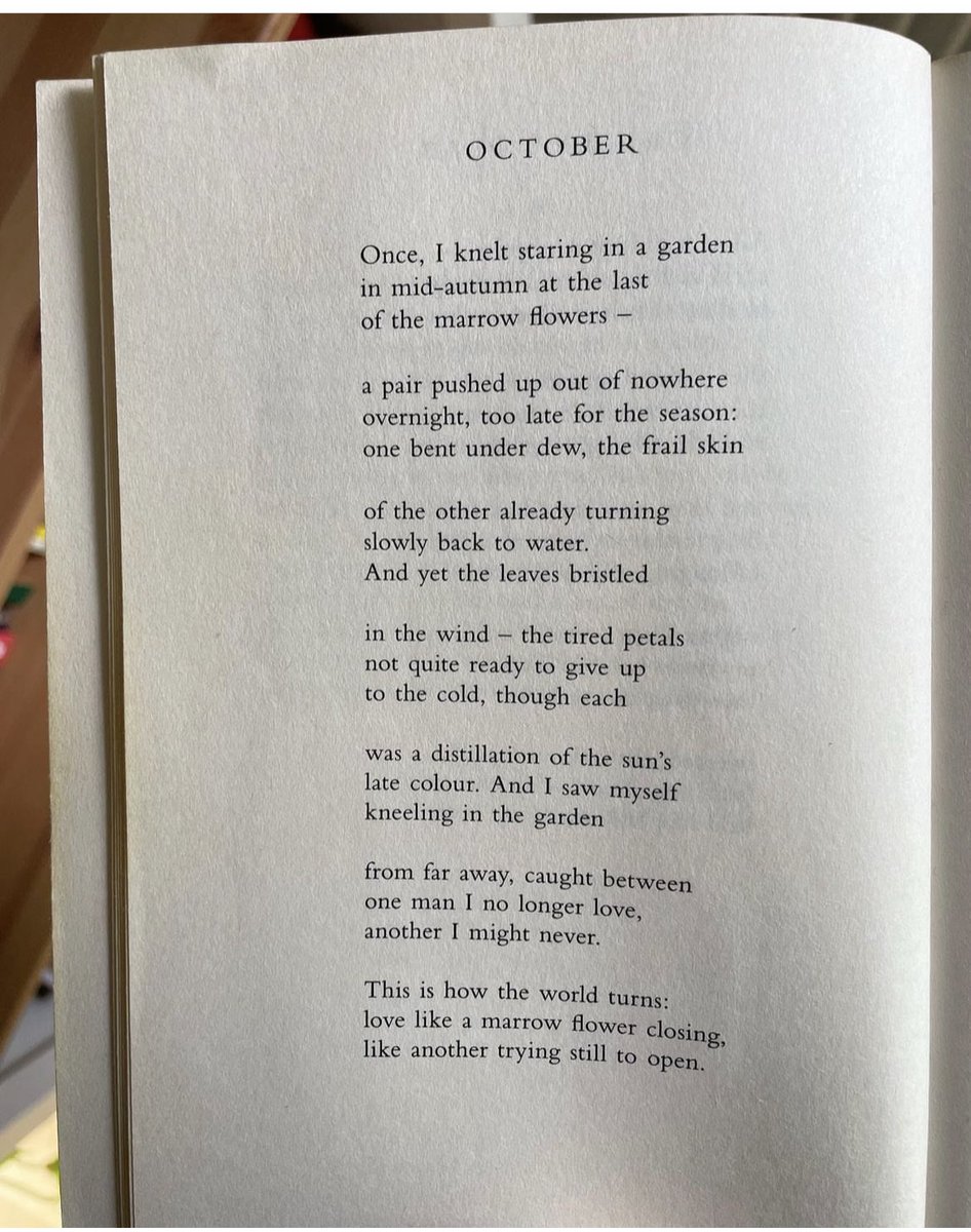 CauveryMadhavan's tweet image. 💔❤️Regret and hope💔❤️ in this seasonal poem by @seanehewitt from his collection #TonguesofFire