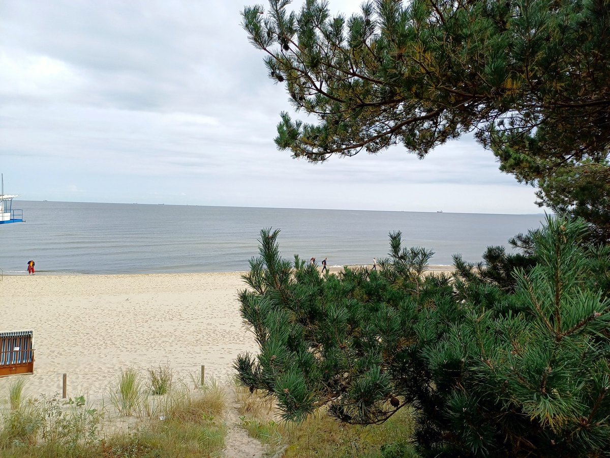 Galigrü aus Ahlbeck auf Usedom

Danke an das ganze twitchmoney was ihr in mich reinpumpt um mir solche Urlaube zu ermöglichen (15,76€ letztes jahr)