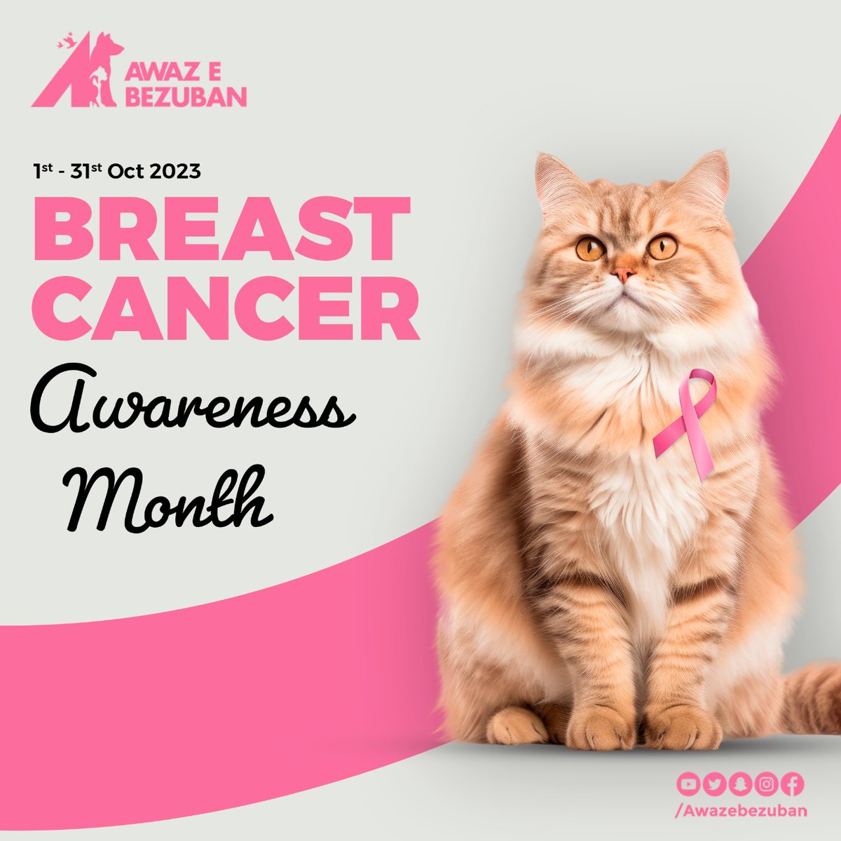 🌸 Embrace the power of pink this October as we stand strong against Breast Cancer. Knowledge is our greatest weapon, so let's raise awareness, support survivors, and honor those we've lost. 💪💖

#BreastCancerAwarenessMonth #pinkribbon  #fightlikeagirl #Pinktober #Awareness