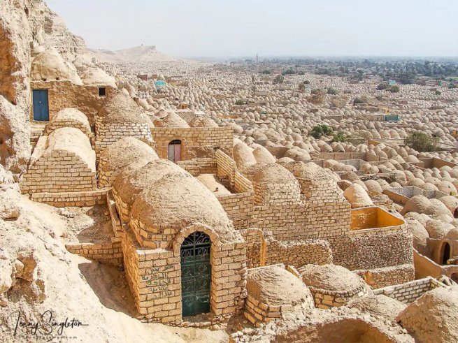 The African History Channel tweet media