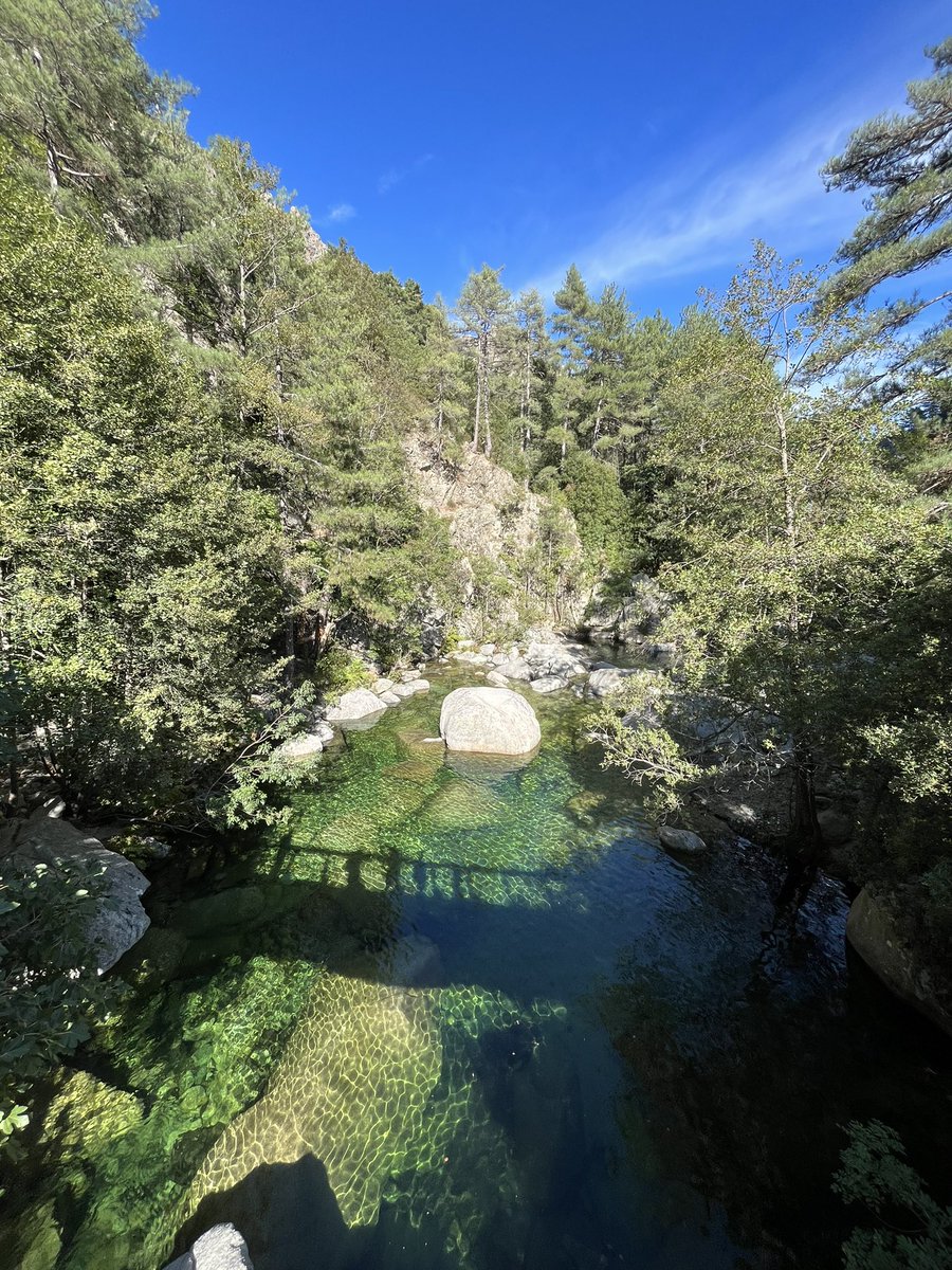 degiovanni__a's tweet photo. Retraite spirituelle pour Suarina 🧘♀️
Plateau d’Alzu et retour à Corte par la vallée du Tavignanu ⛰️🚶🏻♀️
#alzu #castagnolu #russulinu #tavignanu #corti https://t.co/QFTyWNVvDJ