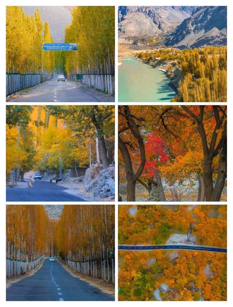 MajesticPak's tweet photo. Colours of Gilgit Baltistan 🇵🇰 
#beautifulpakistan #Autumn #colorsofpakistan #nature #majesticpakistan https://t.co/cwSghqQZyr