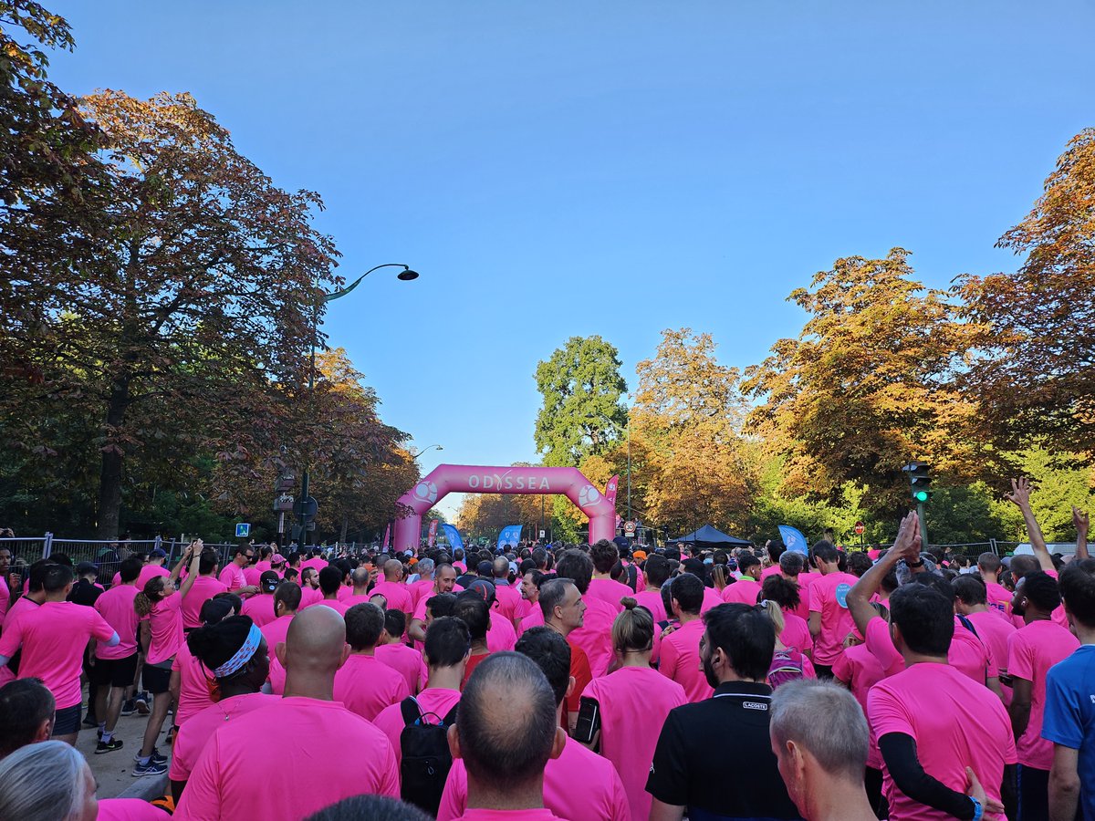 Emmanuel Bergerault tweet media