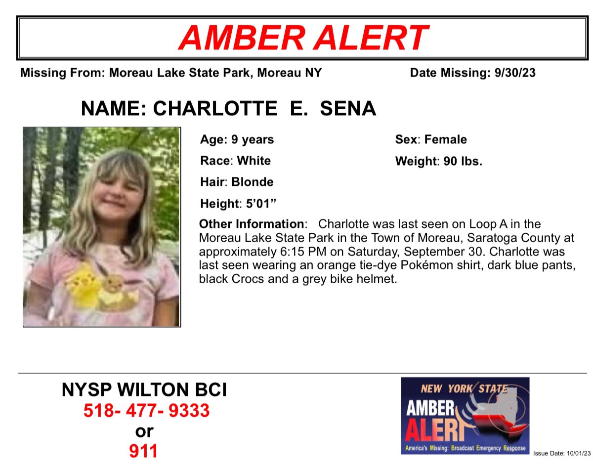 *** New York State Amber Alert ***

Charlotte Sean was last seen on Loop A in the Moreau Lake State Park in the Town of Moreau, Saratoga County at approximately 6:15 PM on Saturday, September 30. Charlotte was last seen wearing an orange tie-dye Pokémon shirt, dark blue pants.