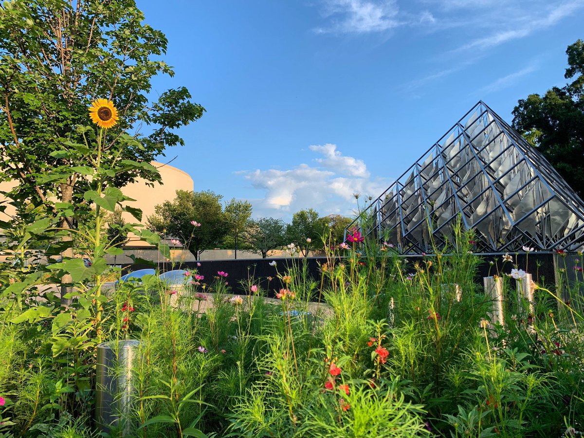 Plan your October visit to our museums and National Zoo: si.edu/visit Shown here, our @SIGardens by @airandspace.