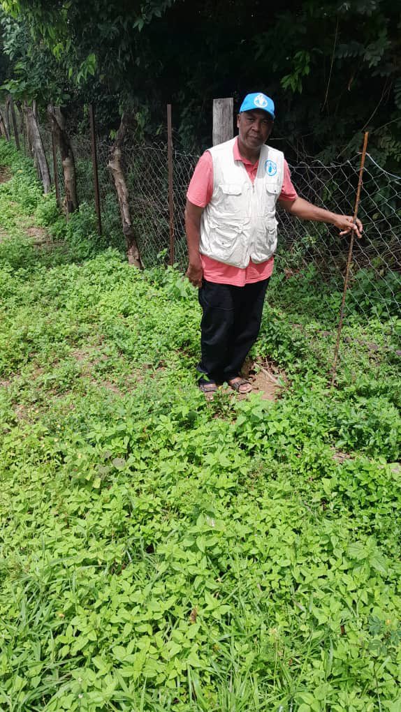 FAOGuinee's tweet photo. #ProjetMassifduFoutaDjallon. Mission de suivi des #clôtures_grillagées des périmètres maraîchers des sites pilotes #Dimma_Tountouroun (Labé) #Guetoya_Bantignel (Pita) & #Bafing_Tolo (Mamou), un total de #5ha pour le bénéfice des populations.
#ZeroHunger #FAOGN https://t.co/j58WzeRZ5w