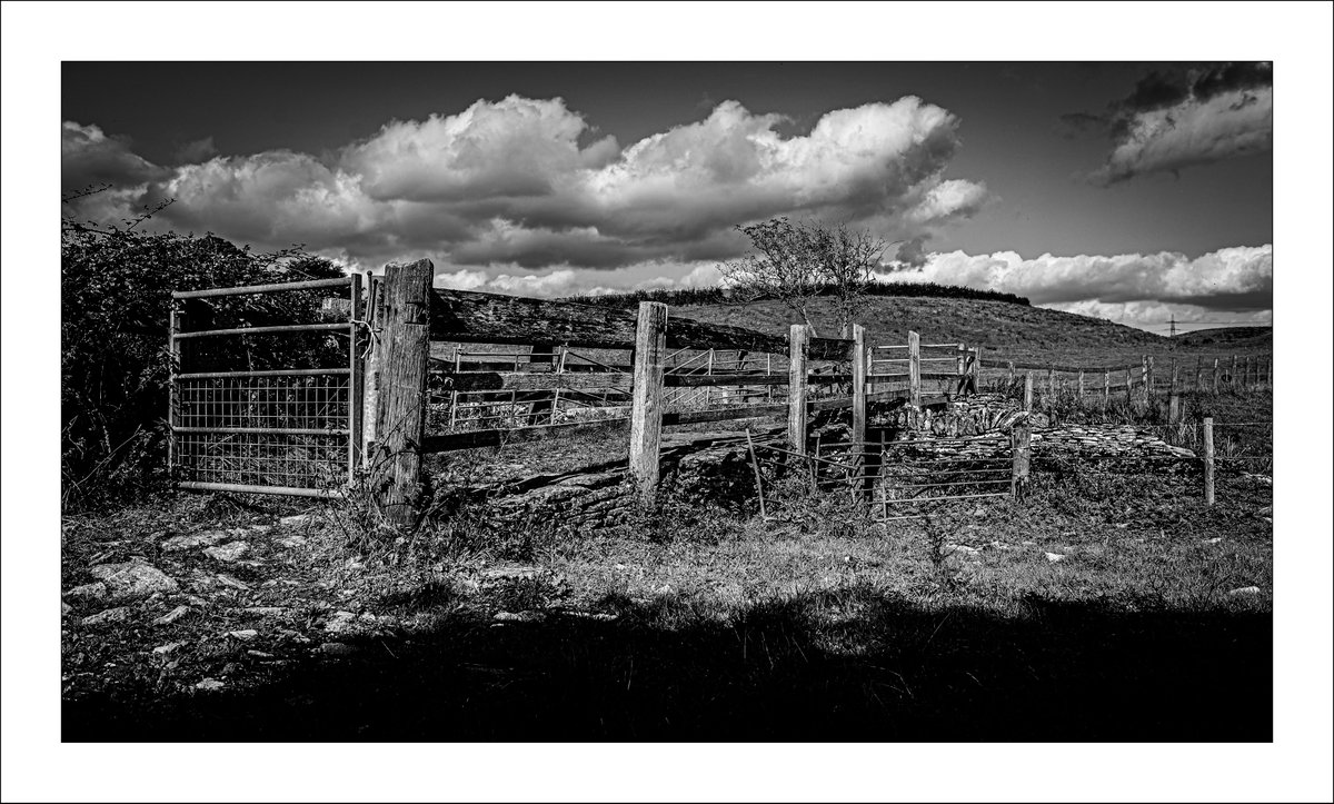 MBuntingPhoto's tweet photo. 20230929 - Gloucestershire in Monochrome - Near Eastleach - You know I like my hi-gloss Black &amp; Whites - #eastleach #gloucestershire #countryside #landscapephotography #blackandwhite #blackandwhitephotography #monochrome https://t.co/i2Y5haB9eG