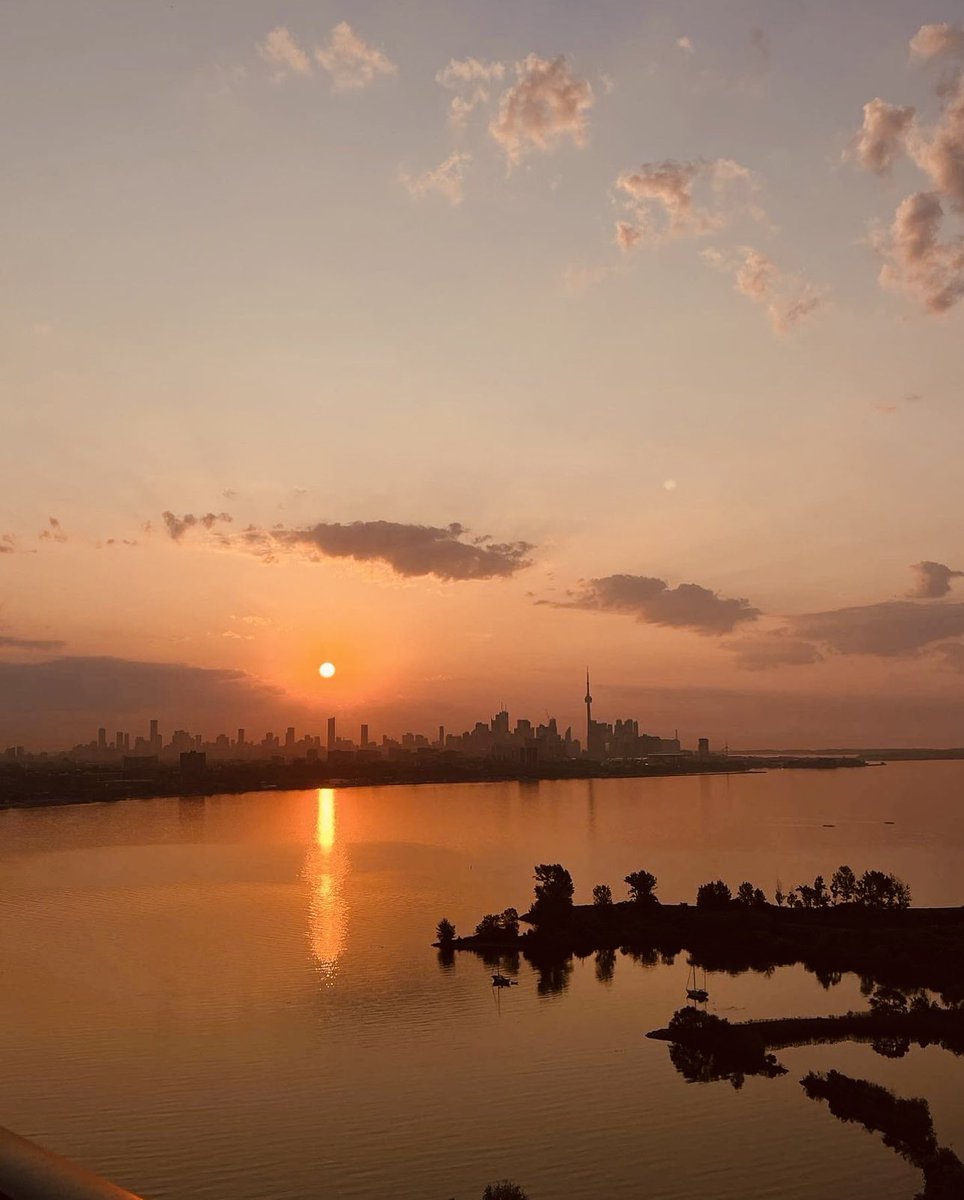 Nutscity13 tweet media