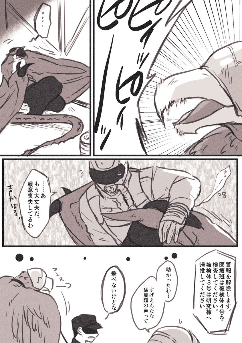 _I___T_'s tweet photo. モフモフ１丁お待ち！新人よろしくね！
なんか頭良さそうに見えますけどめっちゃ鳥頭です。
#人外兵器 https://t.co/d7CzpHQ0wd