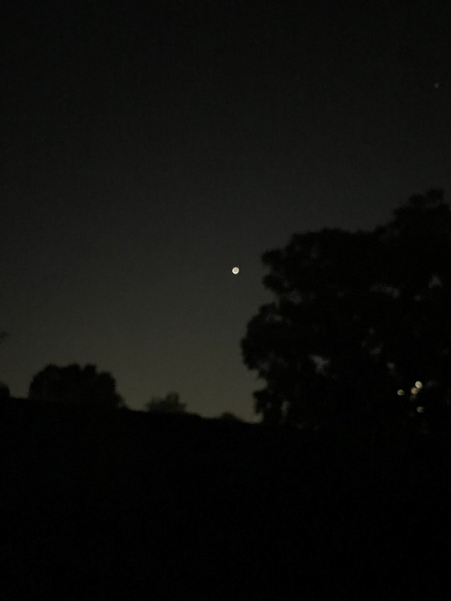 rodmoose's tweet photo. Venus close ups and video, 5:23AM, September 23, 2023 is 23X brighter than the brightest star in the sky captured with phone big and bright deep in the heart of Frisco, TX. It won’t be this bright again until 2025. #space @nasa @SpaceX #videoofday #venus #23 #sky #stars #planets https://t.co/D5KU6Kr2ZI