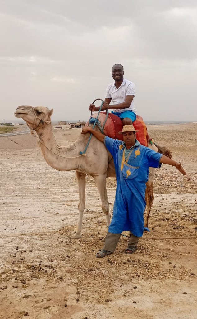 KagbaraInnocent's tweet photo. Imprégnés des vertus de gouvernance, le sérieux des marocains nous impressionne.
La preuve, j'ai voulu effectuer un tour sur les sites touristiques ce 28 septembre 2023, et je me rends compte qu'il n'y a aucune trace du tremblement de terre ici à  Marrakech. https://t.co/TMFJSnKQYA