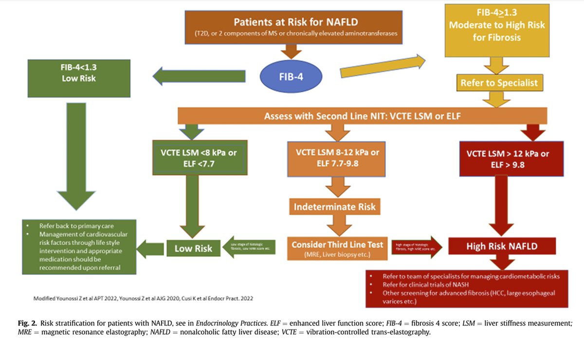 One week left for the free download of our paper on noninvasive tests for the identification of high-risk patients with NAFLD/MASLD in endocrinology clinics. Author link expires November 19, 2023. authors.elsevier.com/c/1hrTF_,3UnYH…