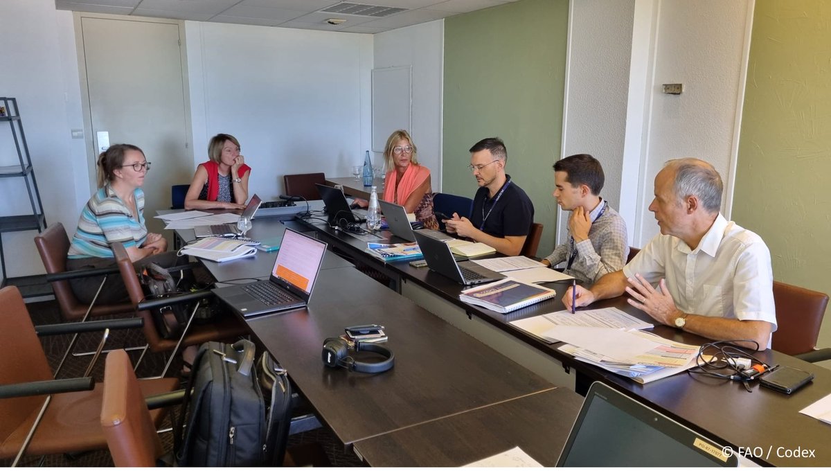 FAOWHOCodex's tweet photo. 📸 | Gearing up for #CCGP33.

➕ℹ️➡️ https://t.co/3JHOsg15WR https://t.co/0OxaBh7vHw