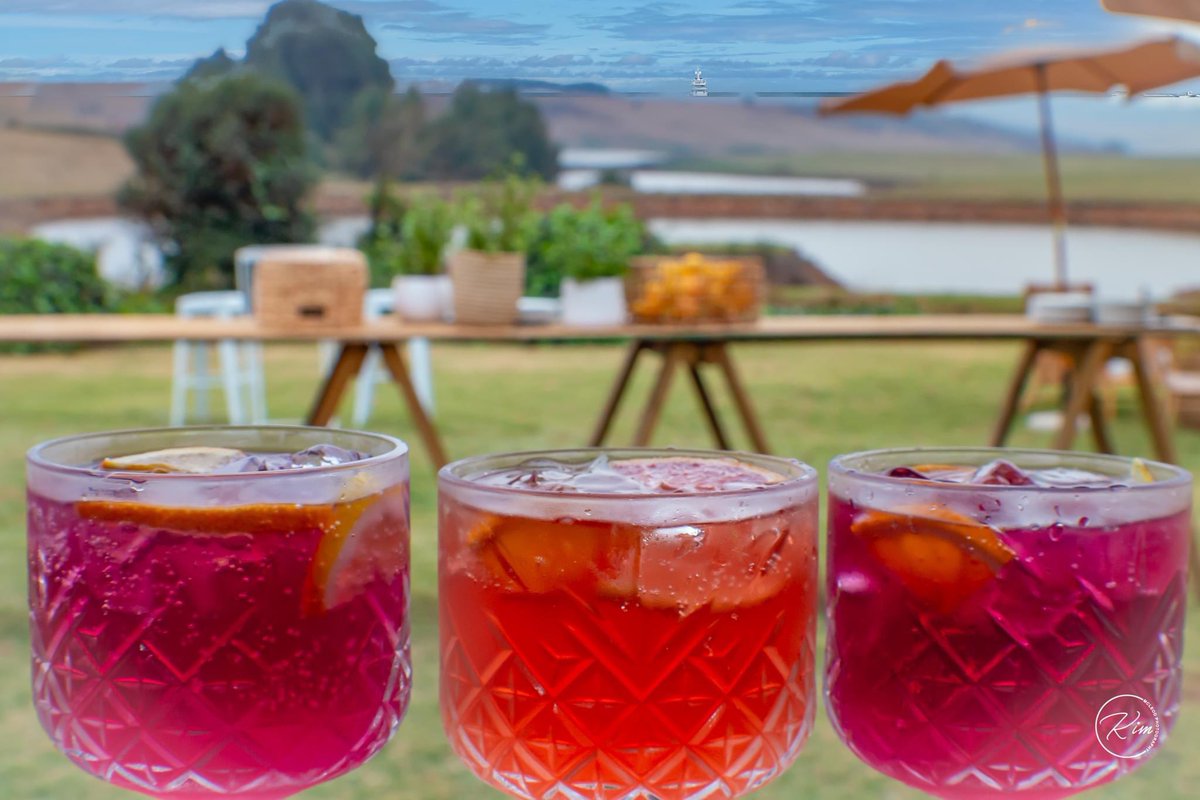 Cthrume71's tweet photo. Netherwood Farm in the Midlands 🌻 #netherwoodfarm #midlandsmeander #blueberrycafe #southafrica https://t.co/gTXKlRBjDc