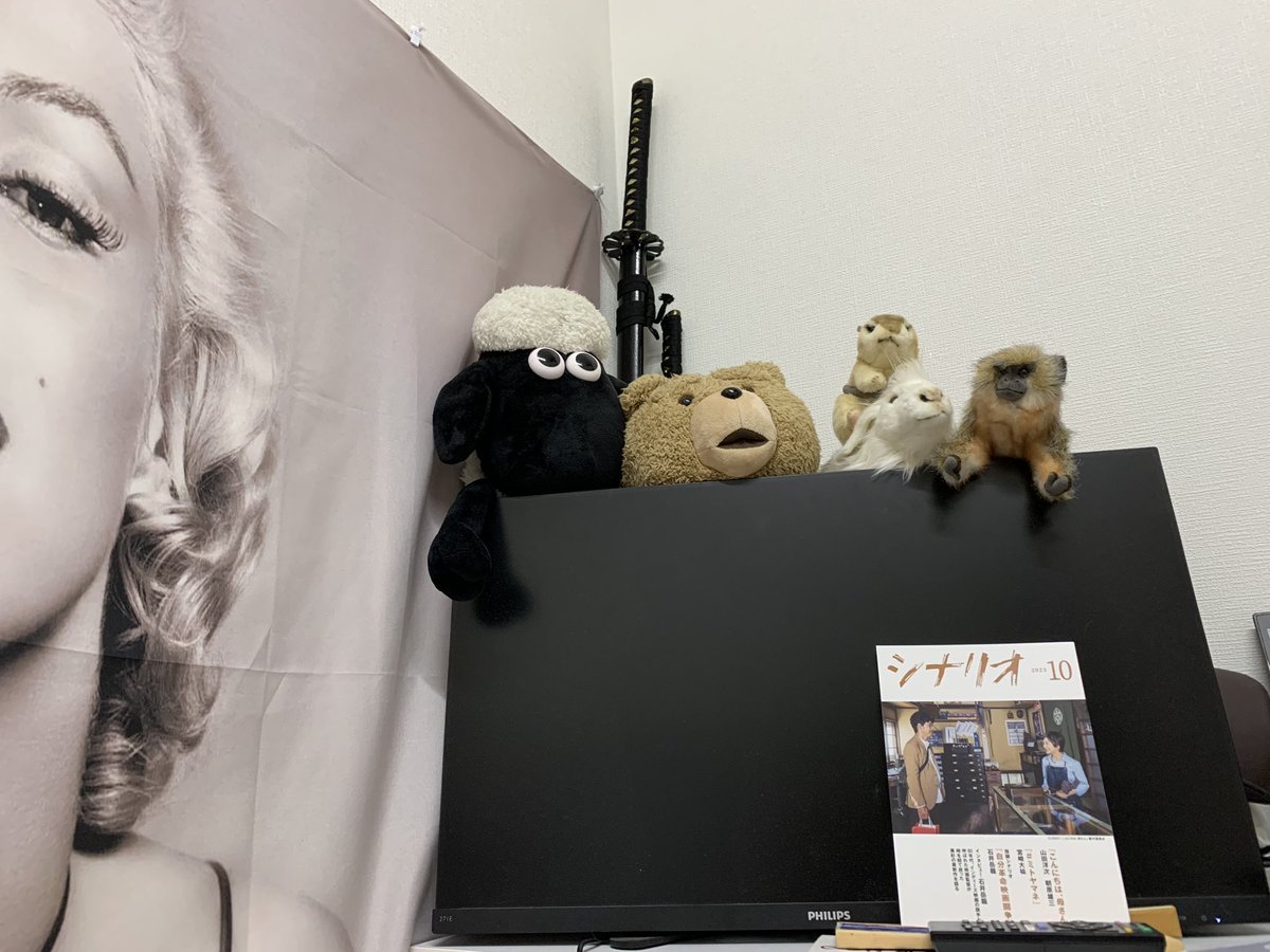 za_sonzaijigen's tweet photo. 10月最初の前説が駄々滑り。
「かんでぃはいつも滑っとるばい！」
(by優成)え〜ッ！ハブてるかんでぃ😭
寝ぐらで崇敬する山田洋次監督の最新作のシナリオ読んでネタ作りのヒントに。
見守るかんでぃ塾の生徒達。
玉ちゃん、愛ちゃん、悟空。😊
ショーンとTedはドライバーのヘッドカバー。😅
#九州男子 https://t.co/Hu3jdUAr4i