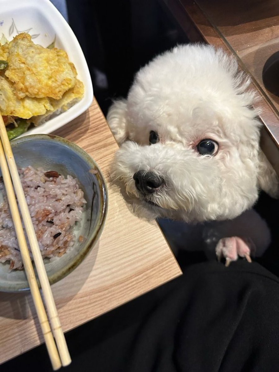 บบฮ. 'ㅅ' tweet media