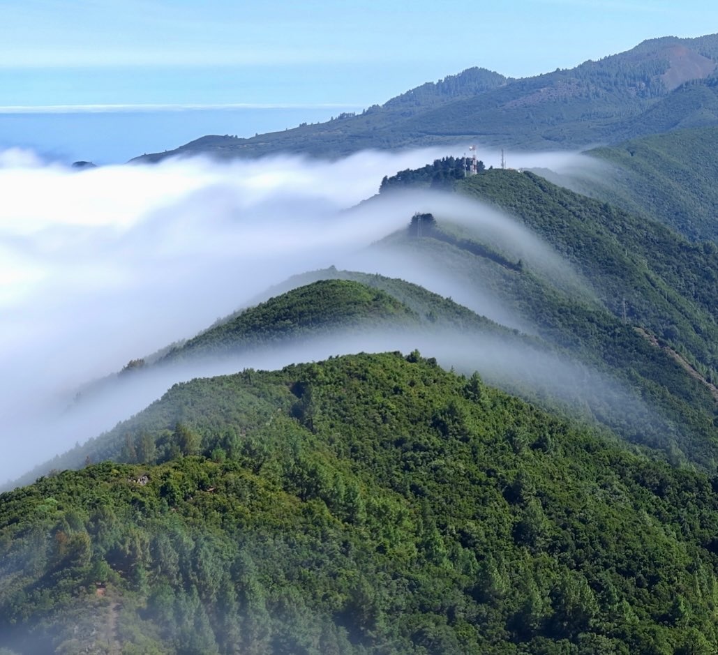 azulzeroes's tweet photo. La belleza de La Palma, hipnótica naturaleza ❤️ https://t.co/JVGILj5XSO