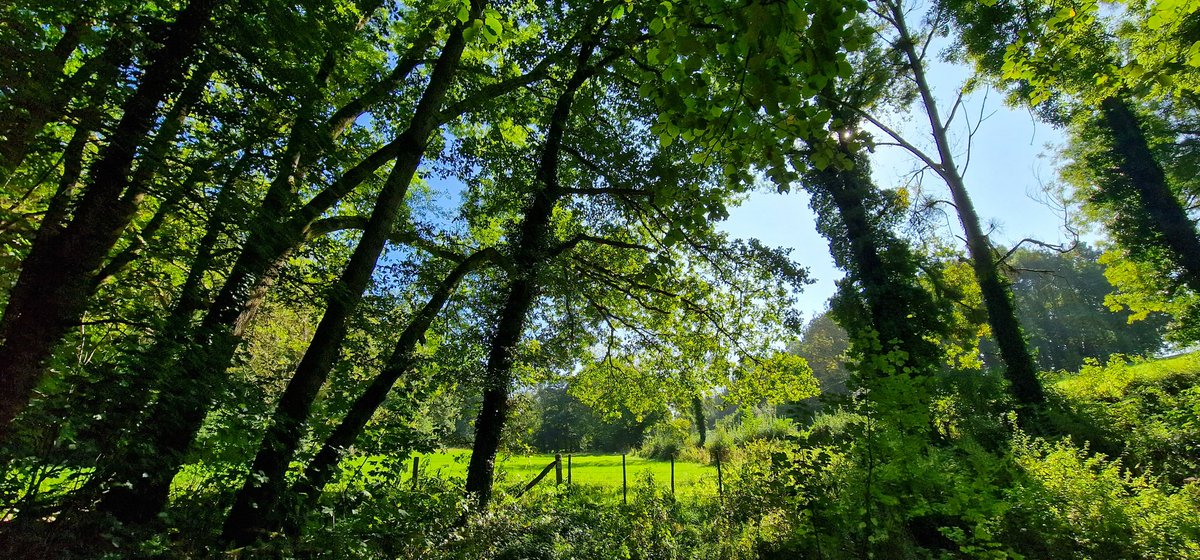 marcelbar8's tweet photo. Wandel vandaag in de streek ten NW van #Noorbeek, deels door België. Liep langs fraaie vakwerkhuizen in Noorbeek (F1), genoot van vergezichten in 't mooie #Noordal (F2) en passeerde #Mehr (F4) en #Libeek. Nu lunchpauze. Eerste herfstkleuren gezien. Fraai wandelweer. @magnifiekZL https://t.co/In8ZHVGj17