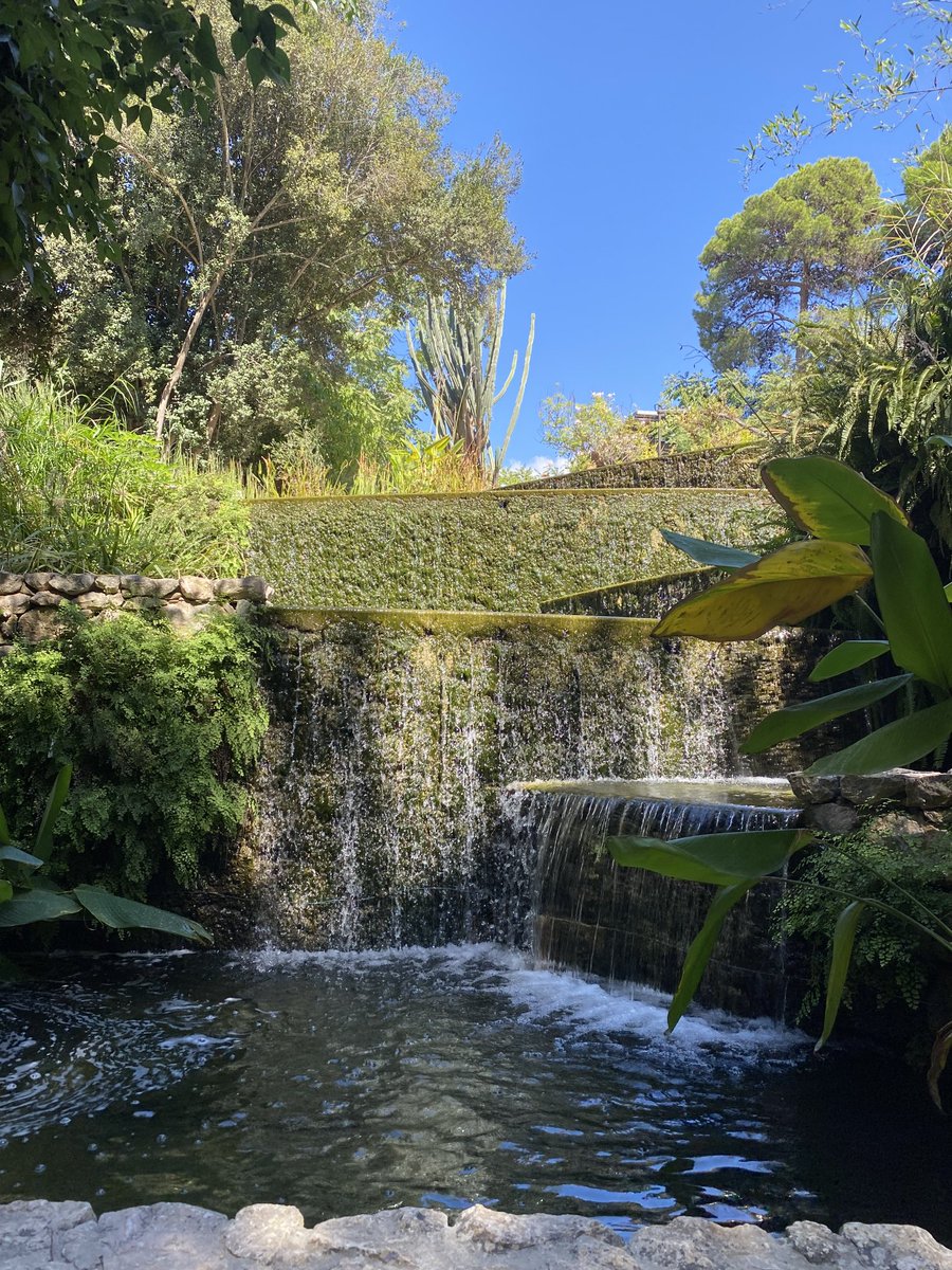 johnterence5's tweet photo. Sardinia Cagliari botanical garden. #sardinia #cagliari https://t.co/LZ1aHpfy0G