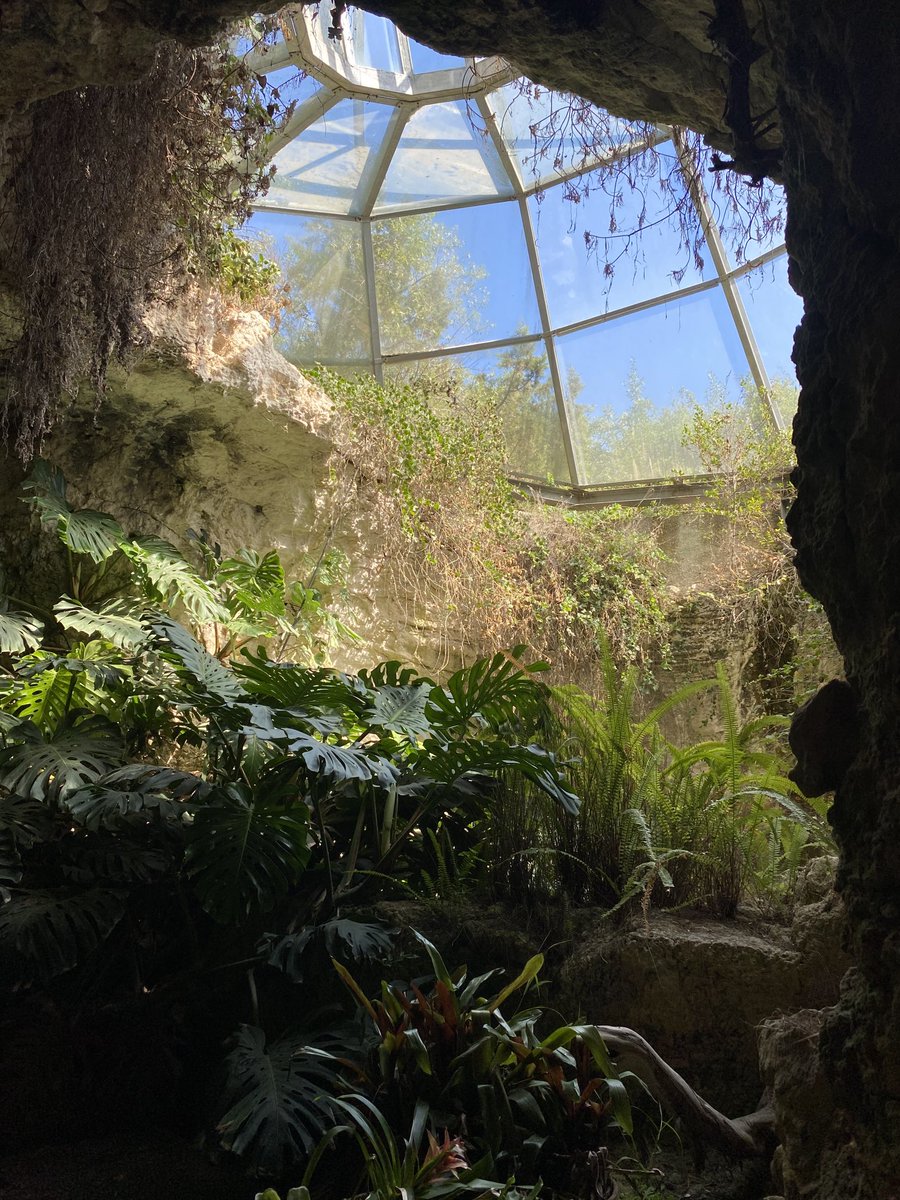 johnterence5's tweet photo. Cagliari Botanical garden #sardinia https://t.co/MPfz9ybJtL