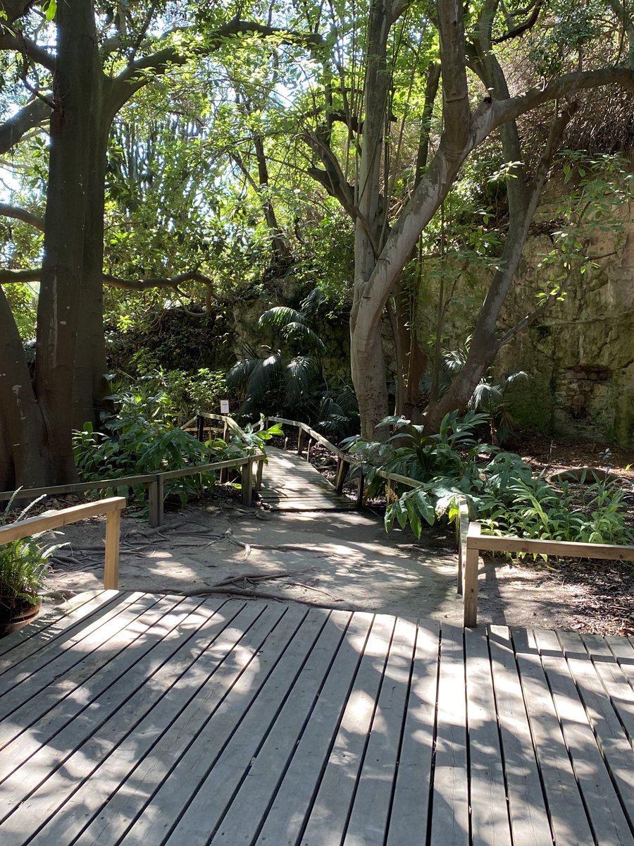 johnterence5's tweet photo. Cagliari Botanical garden #sardinia https://t.co/MPfz9ybJtL