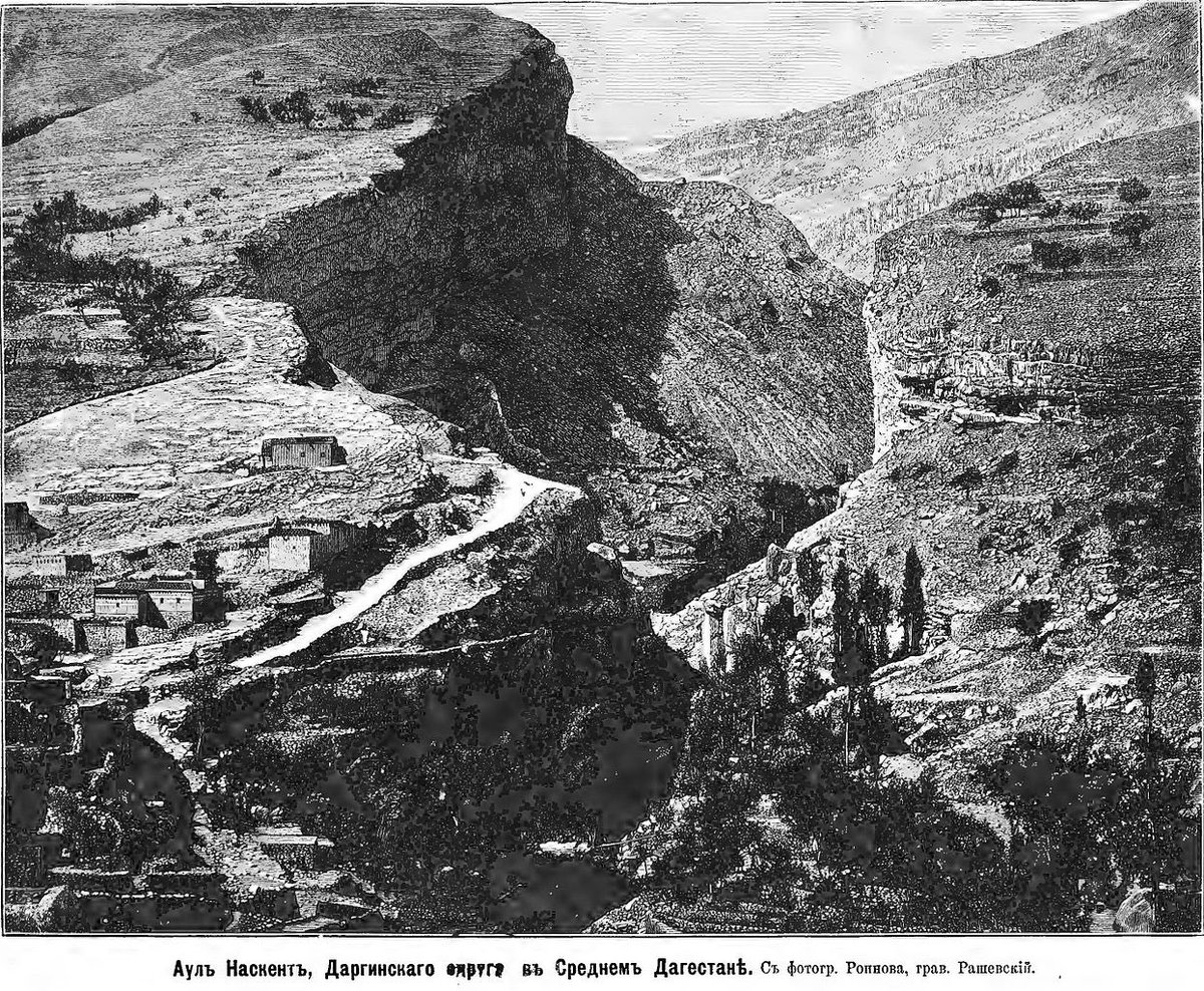 The True Caucasians tweet media