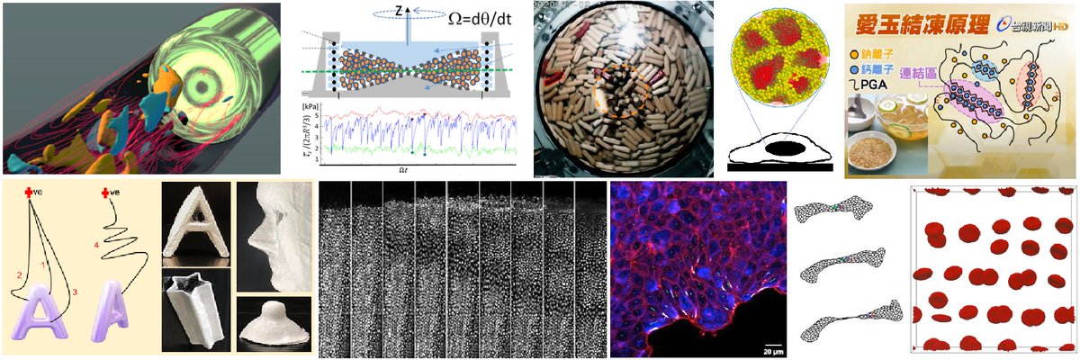 Happy to announce this open call😆 --- We are inviting applications for tenure-track PI positions in the fields of physics of active and/or biological systems, soft matter physics, complex systems, statistical mechanics, etc! For more details, please visit
academicjobsonline.org/ajo/jobs/25466
