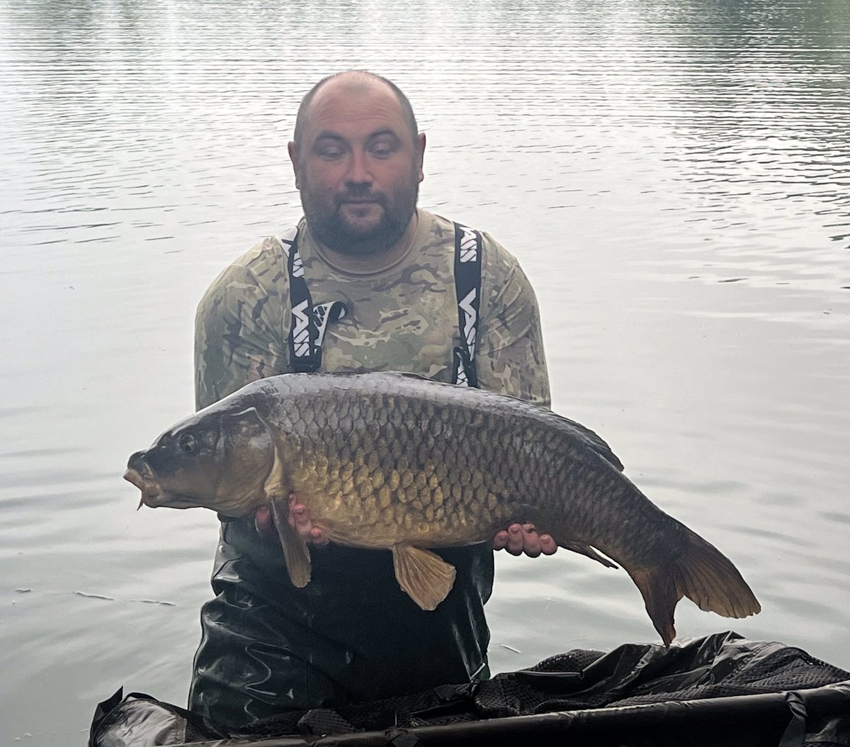 Galaxy Baits tweet media