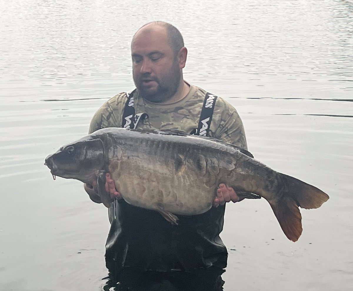 Galaxy Baits tweet media