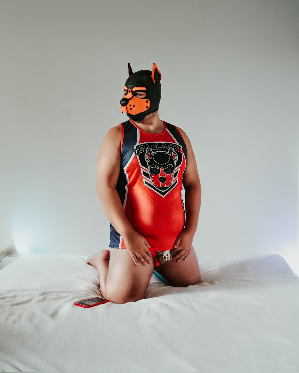 Chastity_Alpha's tweet photo. 1/31 locktober 🙈
@GayChastityRTs @TeamLockedMen https://t.co/vN1WDg1Ru4