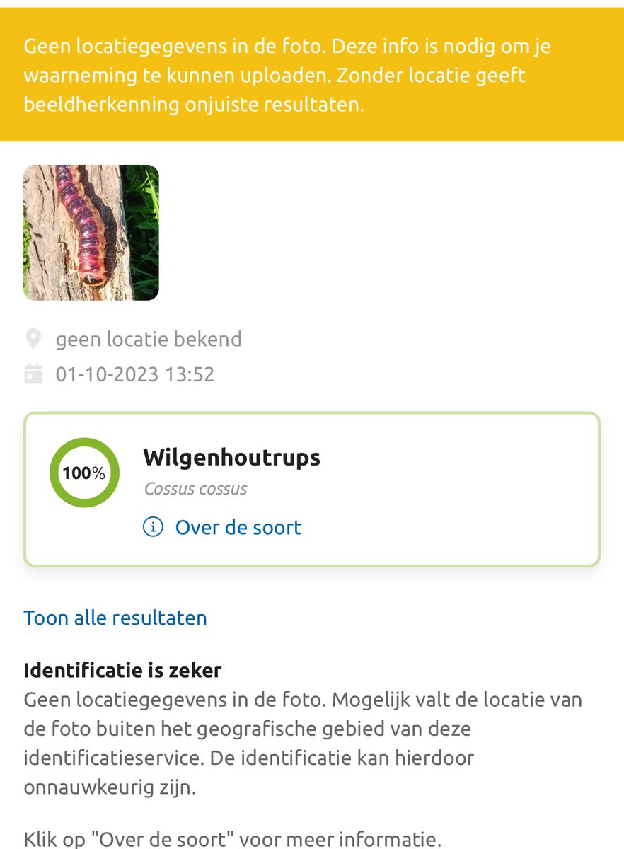 Kees van Trigt tweet media