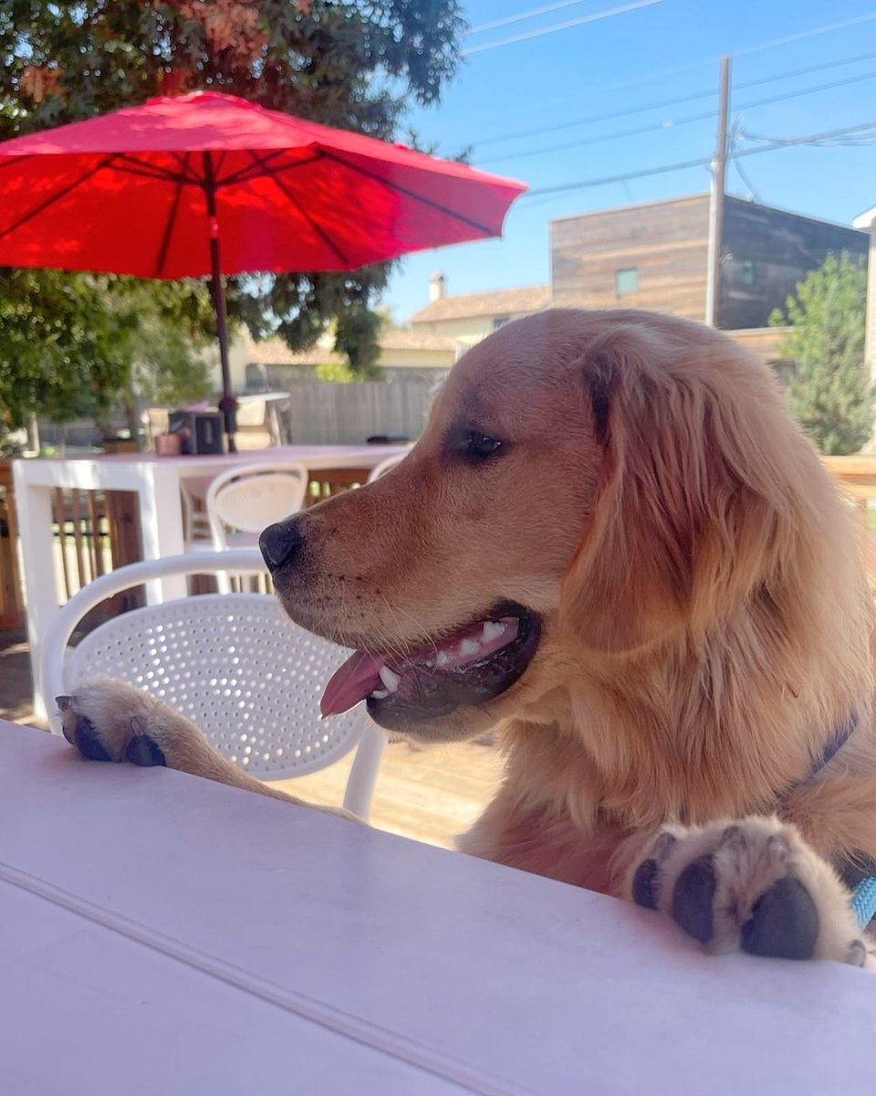RCB Trailer (@rcbtrailertx) on Twitter photo Who else is hyped for another Sunday Funday down at Katy Trail Station?! 🥳
📍Come down to 4825 Cole Ave on the Katy Trail!
Photo cred: <a href="/ollie/">Oliver Roeder</a>.of.house.szapiro
#dallastexas #dallas #dallasfood #dallastx #dallasbbq #katytrail #dallasfoodie #dallasfoodies #dallasevents Who else is hyped for another Sunday Funday down at Katy Trail Station?! 🥳
📍Come down to 4825 Cole Ave on the Katy Trail!
Photo cred: <a href="/ollie/">Oliver Roeder</a>.of.house.szapiro
#dallastexas #dallas #dallasfood #dallastx #dallasbbq #katytrail #dallasfoodie #dallasfoodies #dallasevents