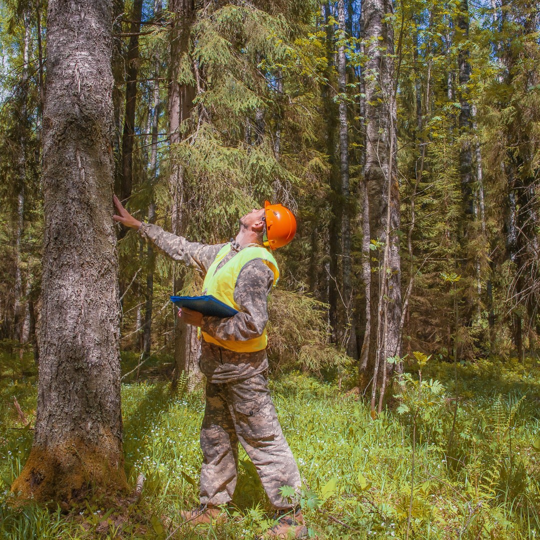Lantra BTI Basic Tree Survey &amp; Inspection course at BCA!

This is designed to help learners recognise hazardous trees as part of their other duties and report what has been seen.

To find out more and apply, please visit: bit.ly/46g0wQA
#TreeInspectionTraining