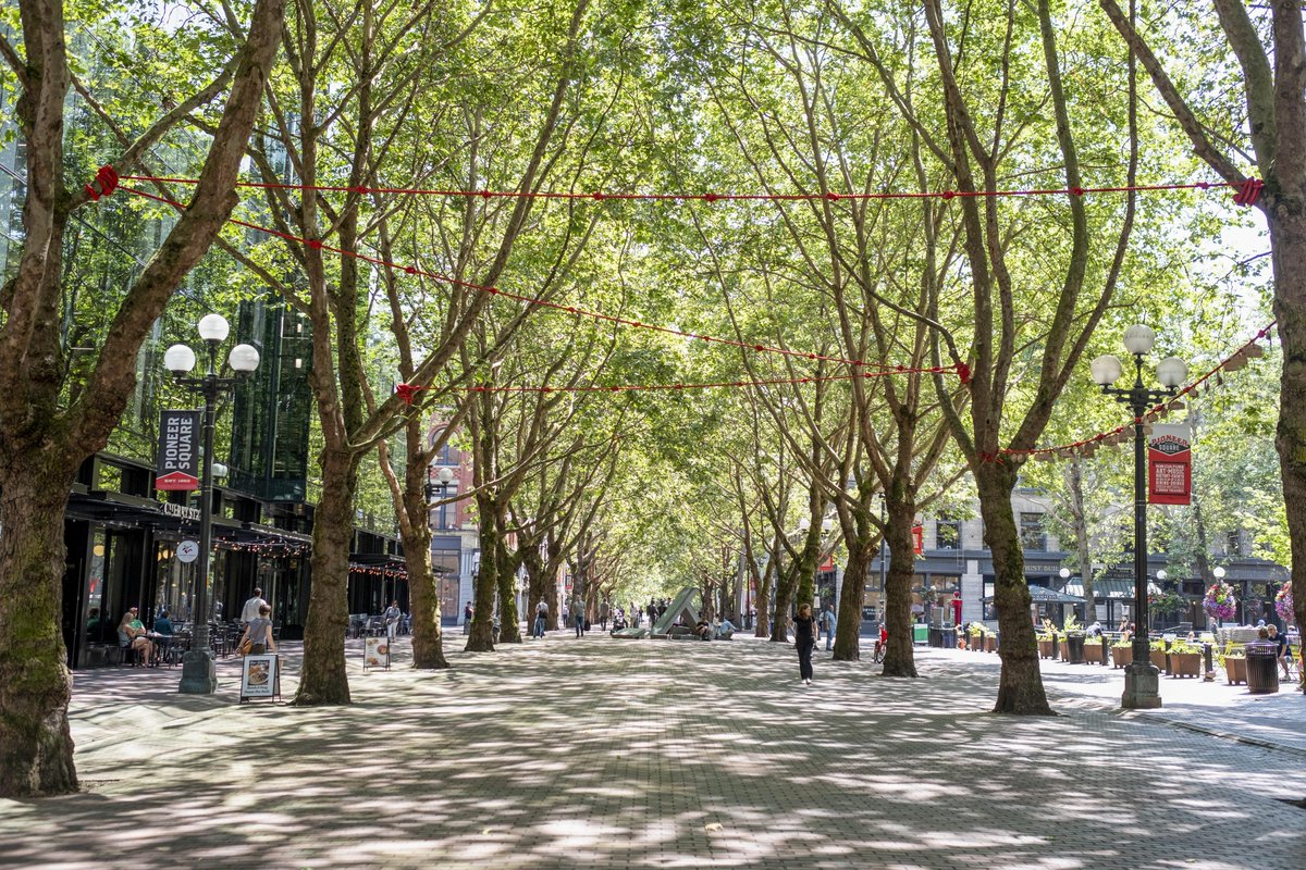 Did you know that trees keep cities cooler? In Phoenix, AZ, nearby towns can see up to a 13 degree difference, because of tree cover! Join Nature Lab in learning how planting trees can benefit cities.    📸Kevin Lee

nature.ly/3rHVc9g  
#tncnaturelab #nationalgreencityday
