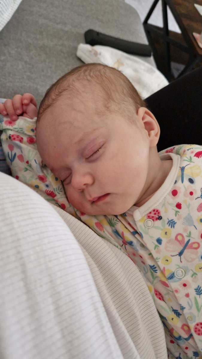 The Niamhmare Before Christmas 🎃 (she/her) tweet media